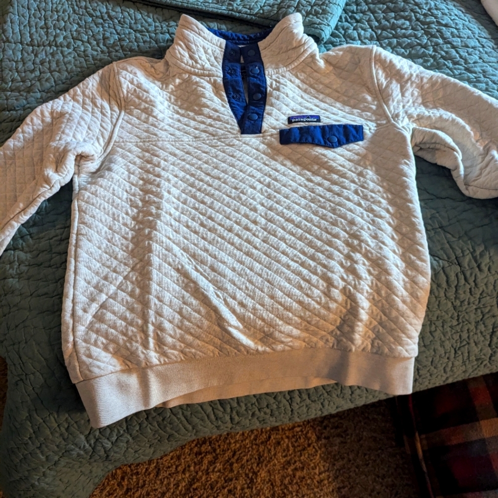 Patagonia quilted sweatshirt